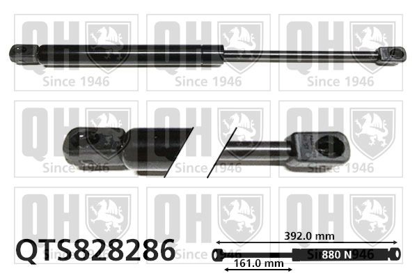 Amortecedor de tampa de porta-malas (de 3ª/5ª porta traseira) 904507914R Renault (RVI)